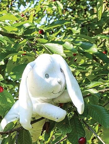 Peluche conejito pequeño