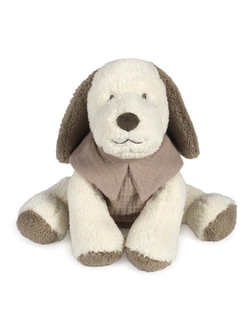 Peluche de perro en terciopelo y algodón, sintra | Walking Mum - Kiabi