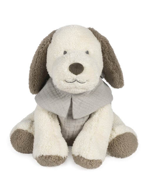 Peluche de perro en terciopelo y algodón, sintra | Walking Mum - Kiabi