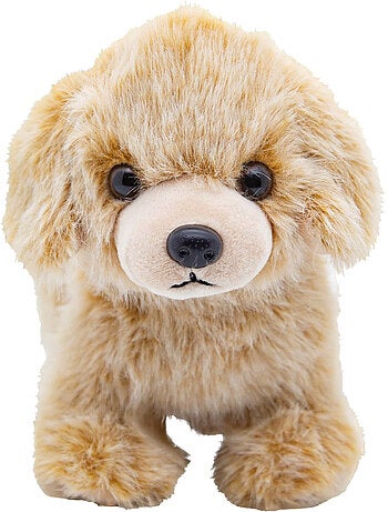 Peluche de perro para niño | Cute