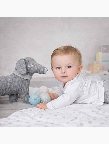 Peluche perro teckel de algodón orgánico | SEVIRA KIDS