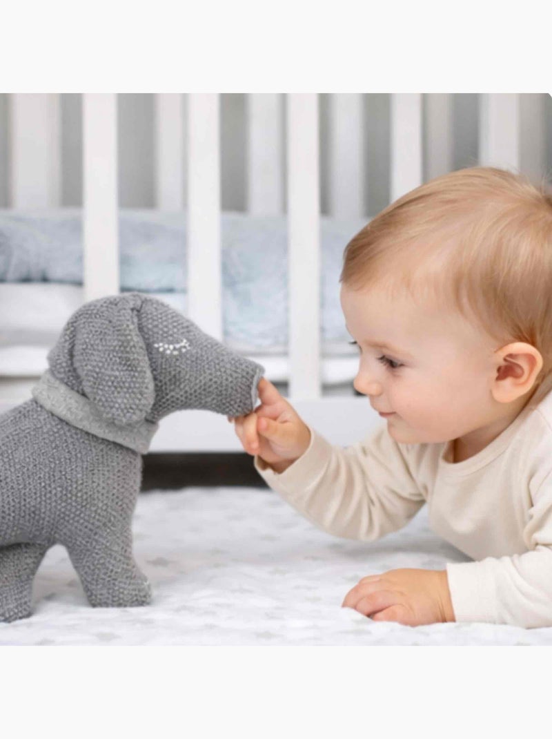 Peluche perro teckel de algodón orgánico | SEVIRA KIDS Gris - Kiabi