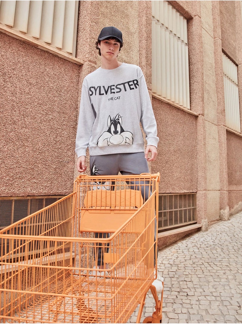 Pijama largo hombre Sylvester en punto de algod?n Gris jaspeado - Kiabi