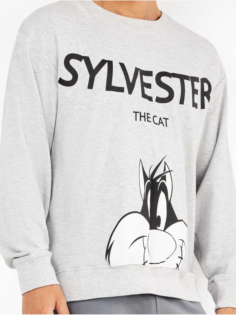 Pijama largo hombre Sylvester en punto de algodón Gris jaspeado - Kiabi