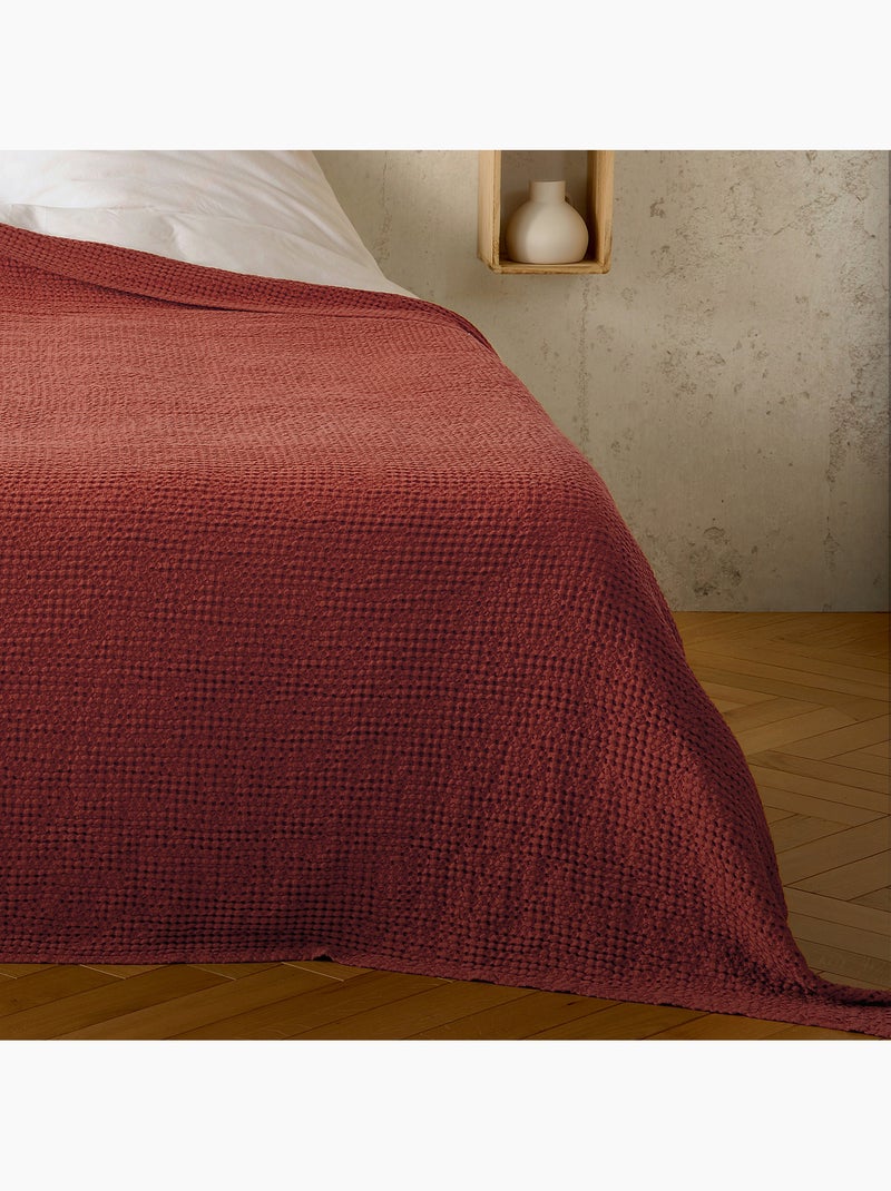 Plaid de algodón con tejido nido de abeja Terracota - Kiabi