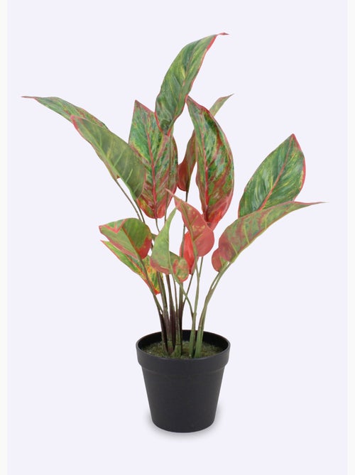 Planta artificial Aglaonema + maceta - AFIBEL - Kiabi
