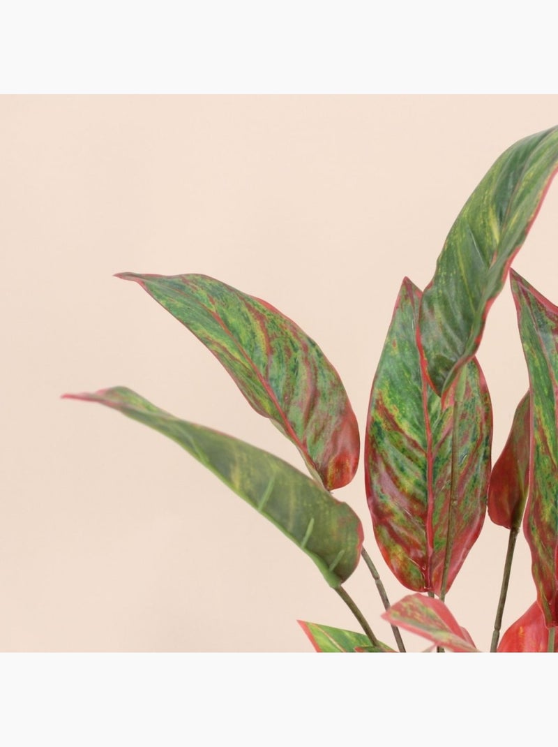 Planta artificial Aglaonema + maceta - AFIBEL Negro - Kiabi