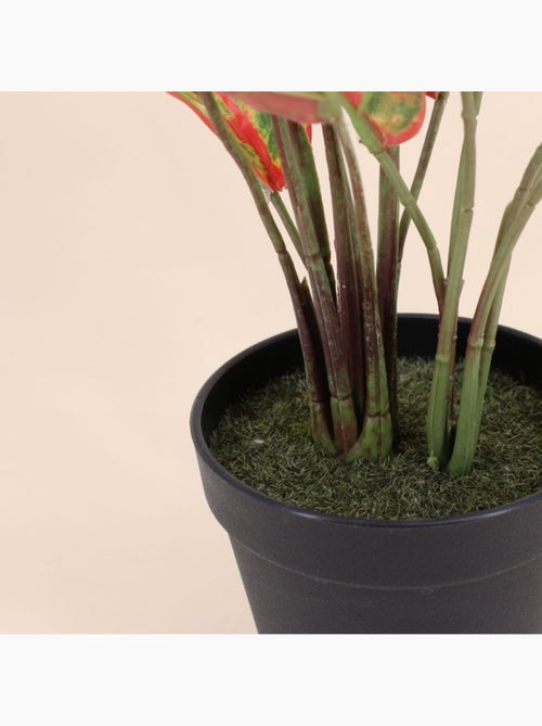 Planta artificial Aglaonema + maceta - AFIBEL - Kiabi