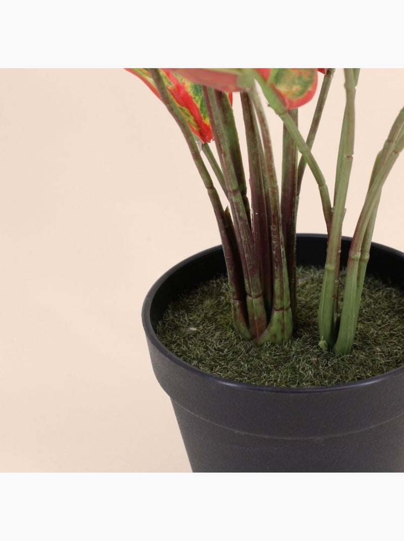 Planta artificial Aglaonema + maceta - AFIBEL Negro - Kiabi