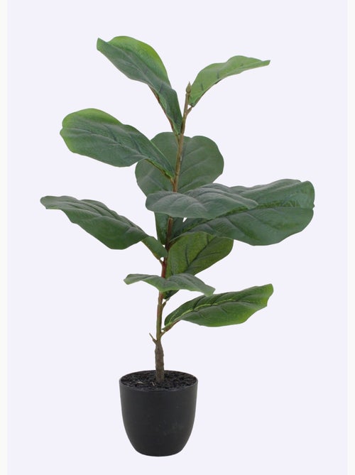 Planta artificial de higuera de hoja de violín + maceta - AFIBEL - Kiabi