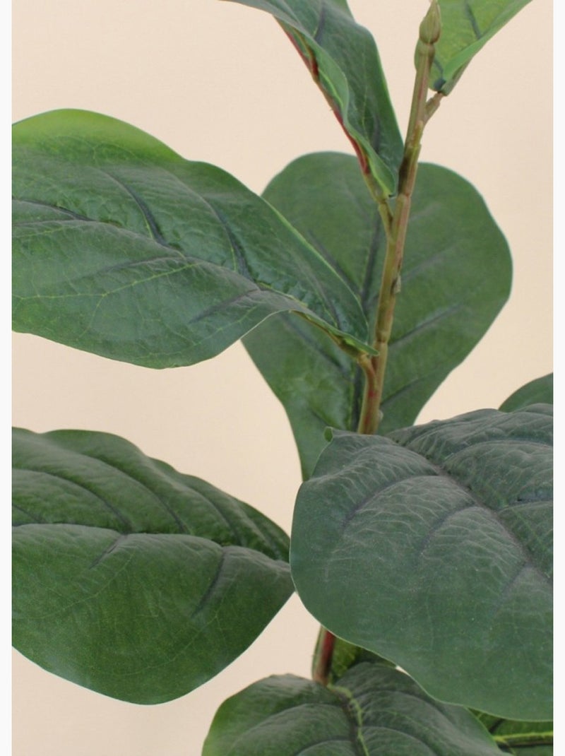 Planta artificial de higuera de hoja de violín + maceta - AFIBEL Negro - Kiabi