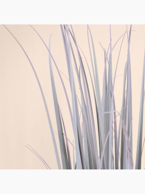 Planta artificial de Phormium en forma de ramo. - AFIBEL - Kiabi