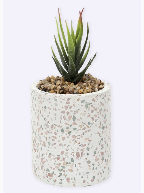 Planta artificial + maceta estilo terrazo - AFIBEL - Kiabi