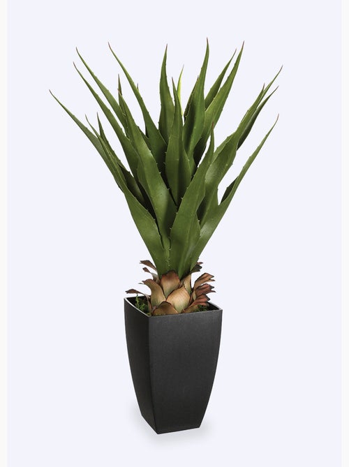 Planta artificial tipo agave en maceta - AFIBEL - Kiabi