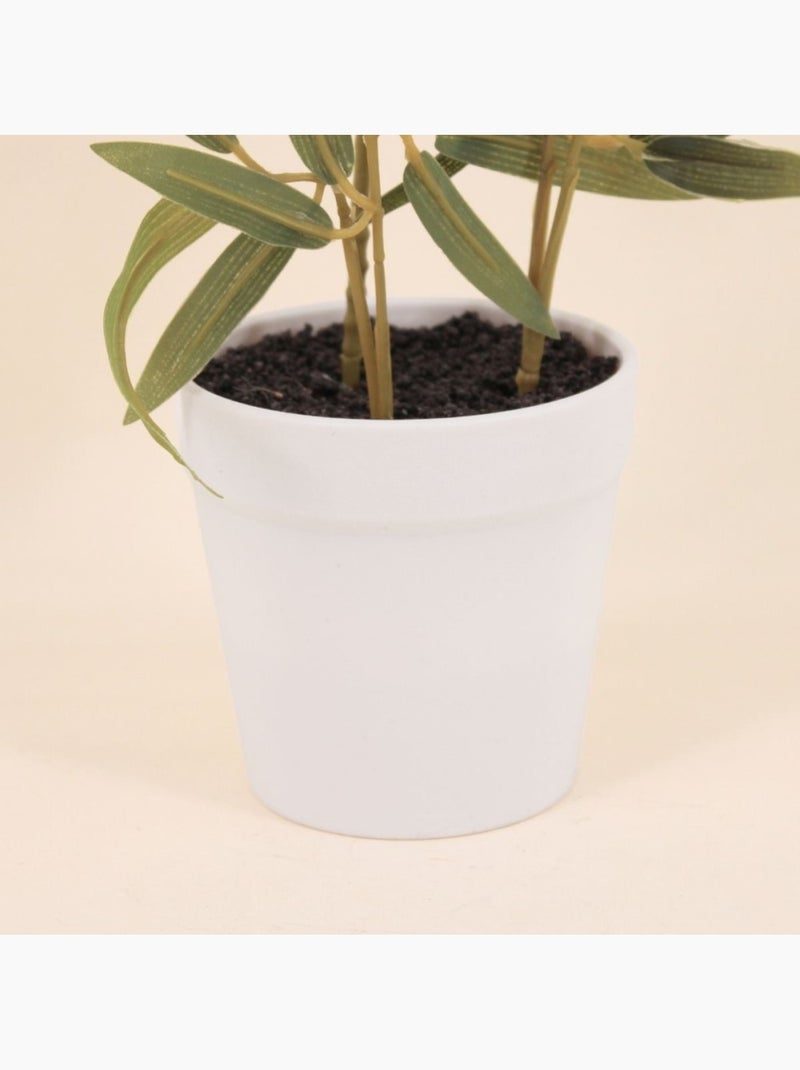 Planta de bambú artificial + maceta efecto hormigón - AFIBEL Blanco - Kiabi