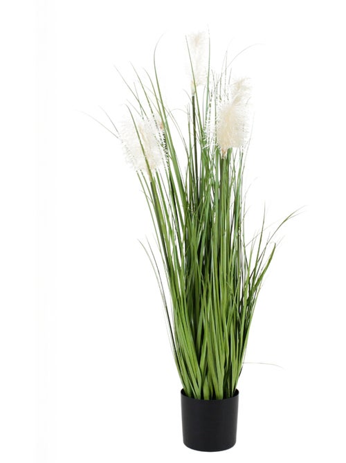 Planta de hierba de la pampa artificial - AFIBEL - Kiabi