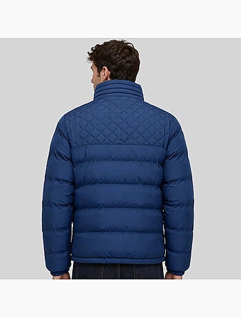 Plumífero alexandro – geographical norway