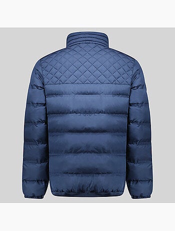 Plumífero alexandro – geographical norway