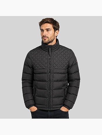 Plumífero alexandro – geographical norway