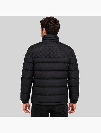 Plumífero alexandro – geographical norway