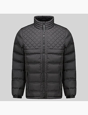 Plumífero alexandro – geographical norway