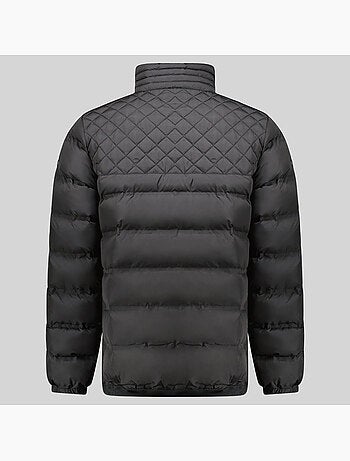 Plumífero alexandro – geographical norway