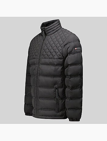 Plumífero alexandro – geographical norway