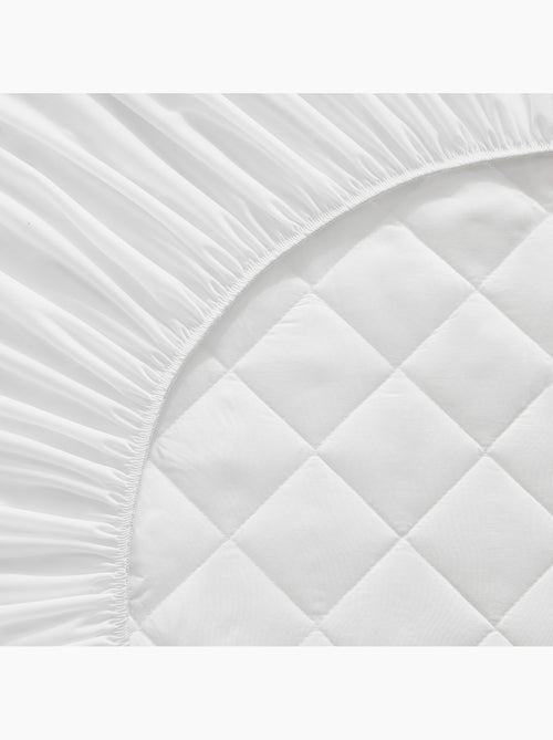 Protector colchón Aloe Vera-Impermeable - Hasta 32 cm - Kiabi