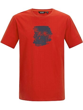 Regatta - Camiseta Cline IX Diseño Planeador de playa para Hombre