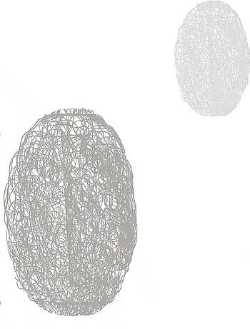 Ronds Mêlés' bordado blanco transparente