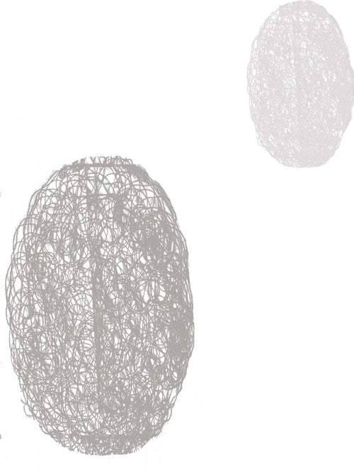 Ronds Mêlés' bordado blanco transparente - Kiabi