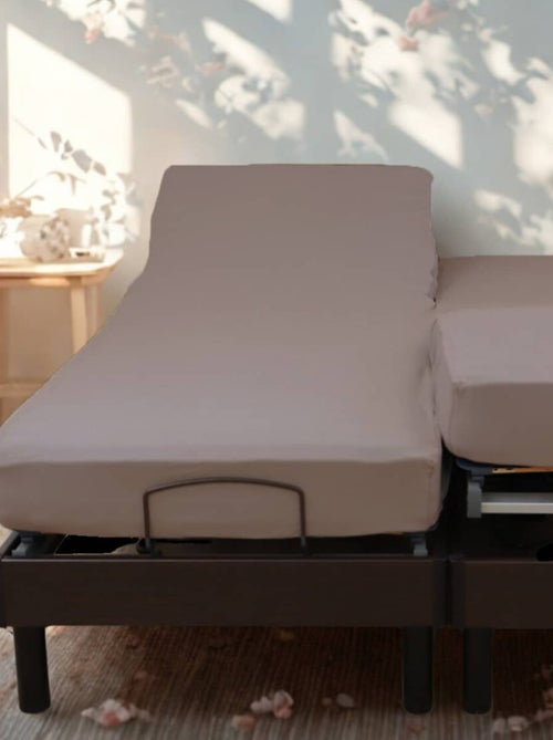 Sábana bajera elástica de algodón para cama eléctrica PAPILLON - Kiabi Sábana bajera elástica de algodón para cama eléctrica PAPILLON - Kiabi