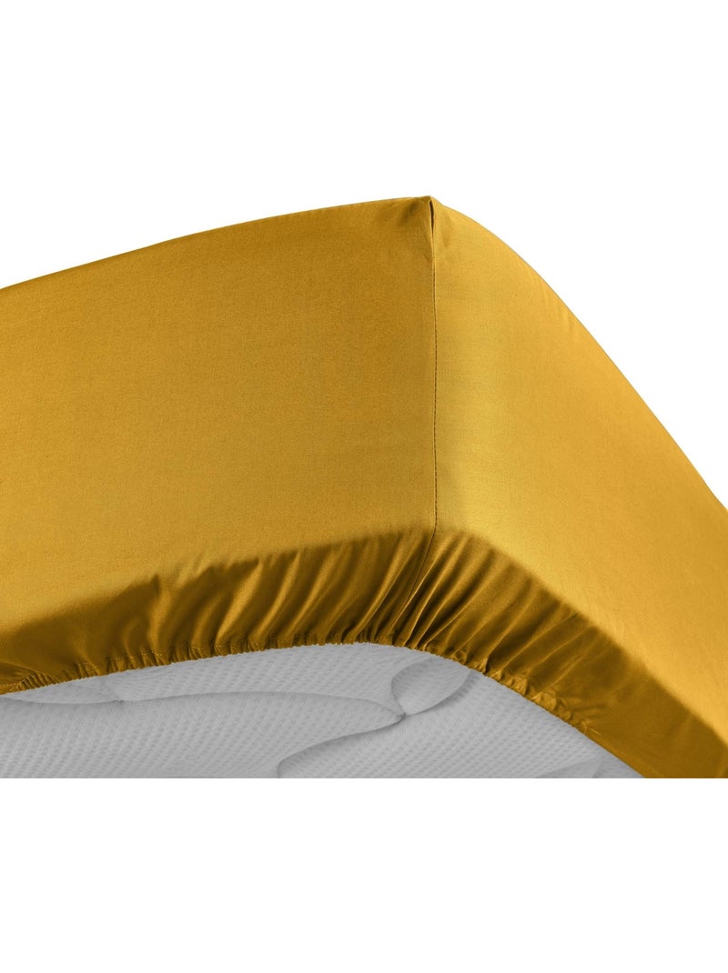 Sábana bajera lisa 100% algodón percal ORIGINE Amarillo - Kiabi