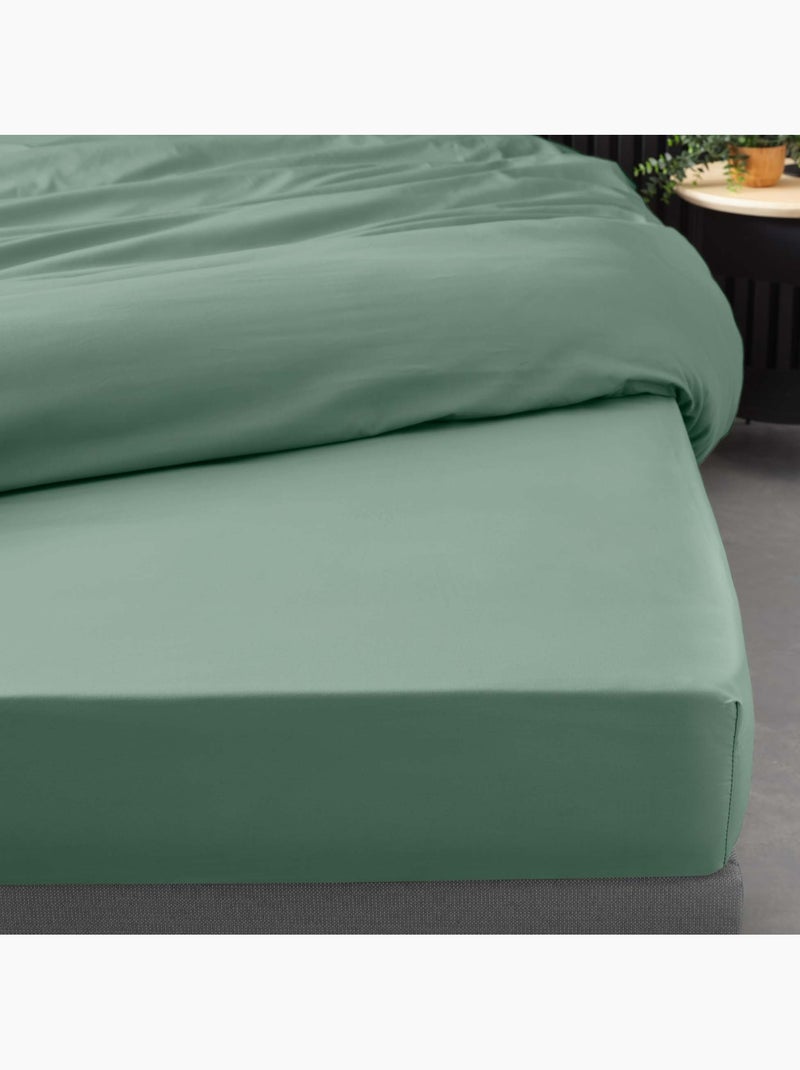 Sábana bajera lisa 100% algodón percal ORIGINE Verde tilo - Kiabi
