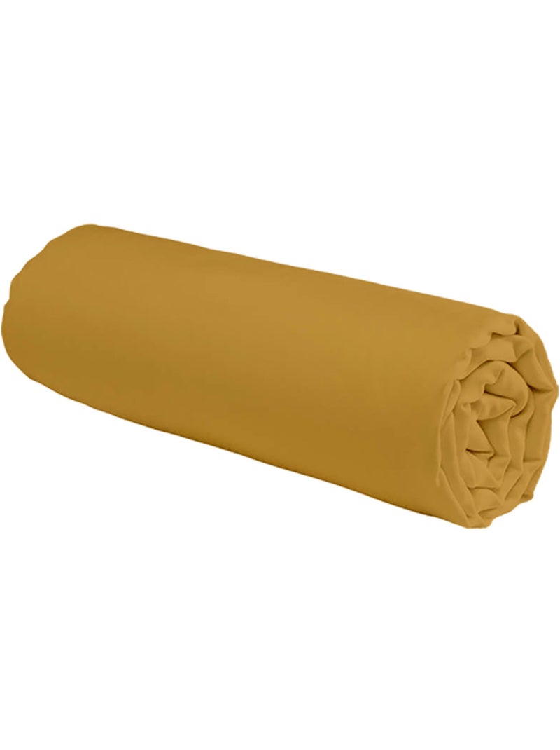 Sábana bajera lisa de algodón de 57 hilos Miel - Kiabi