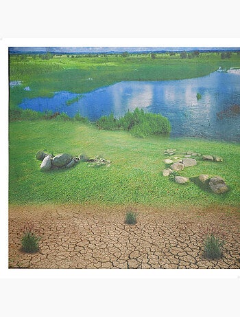 Set animales de granja con tapete y accesorios 60 pzas. Animal world