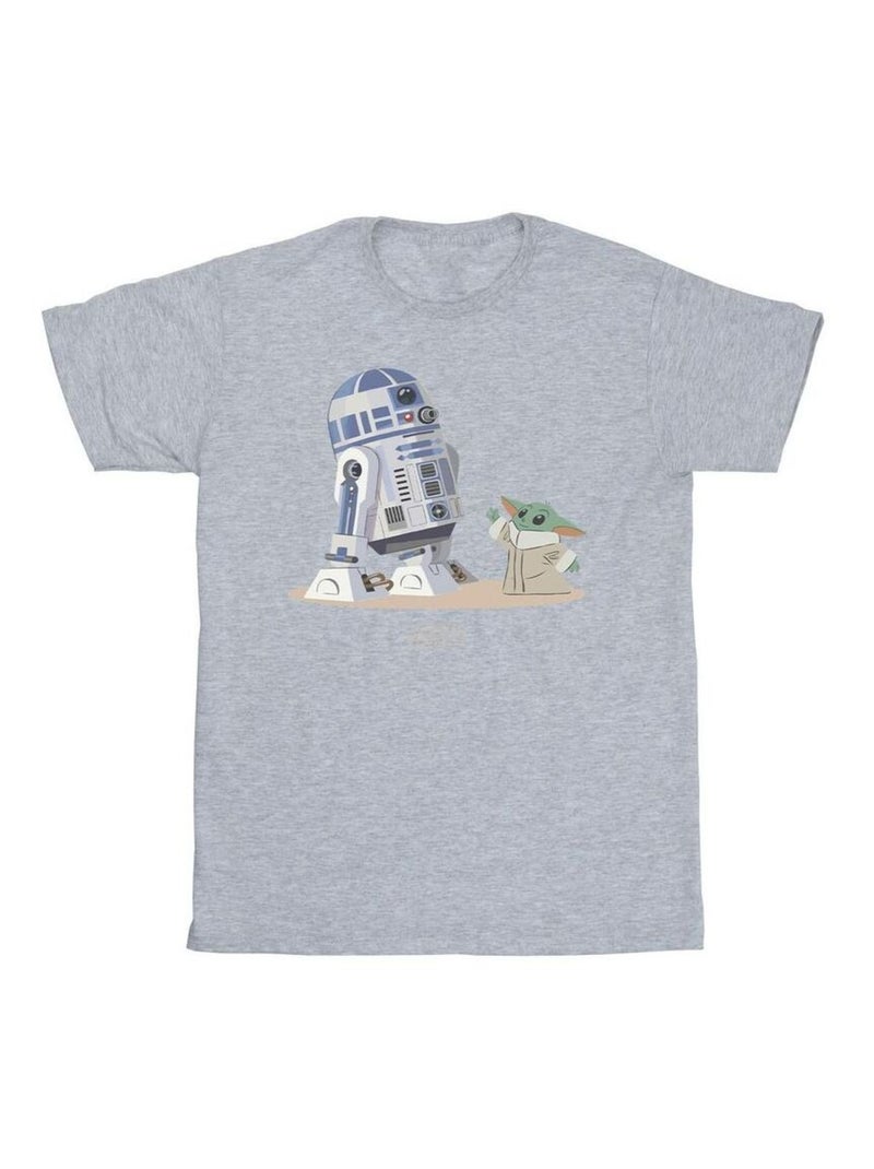 Star Wars - Camiseta The Mandalorian de R2-D2 y Grogu para Hombre Gris jaspeado - Kiabi