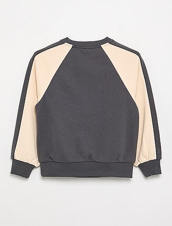 Sudadera bicolor con estampado
