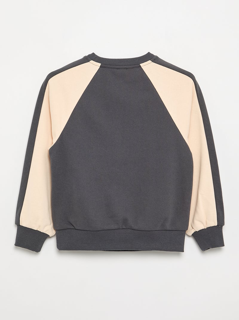 Sudadera bicolor con estampado Gris - Kiabi