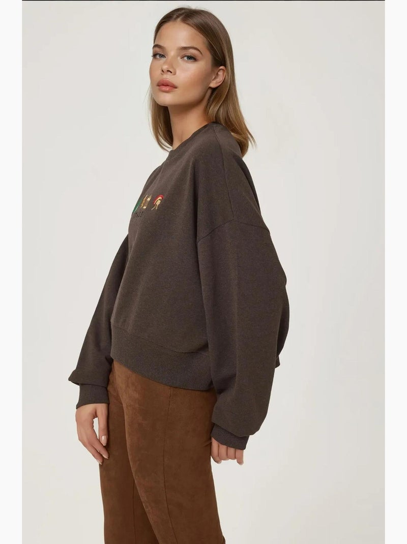 Sudadera bordada con cuello redondo hiccup Marrón oscuro - Kiabi