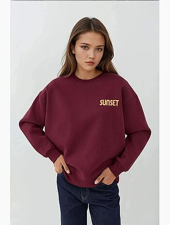 Sudadera bordada con cuello redondo hiccup
