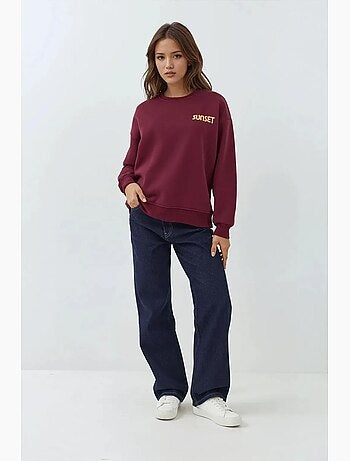 Sudadera bordada con cuello redondo hiccup