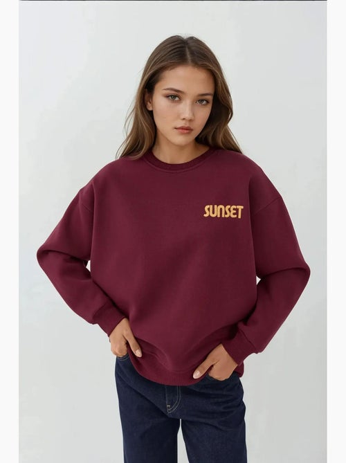 Sudadera bordada con cuello redondo hiccup - Kiabi