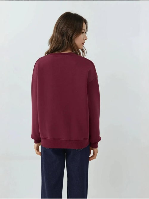 Sudadera bordada con cuello redondo hiccup - Kiabi