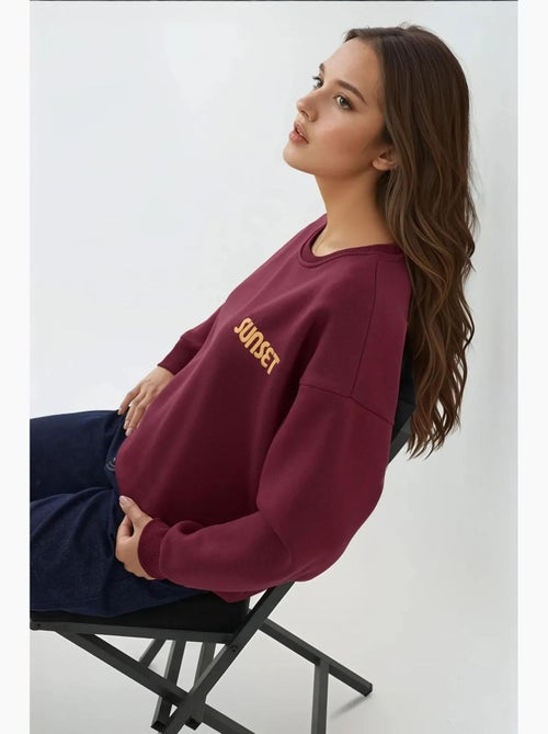 Sudadera bordada con cuello redondo hiccup - Kiabi