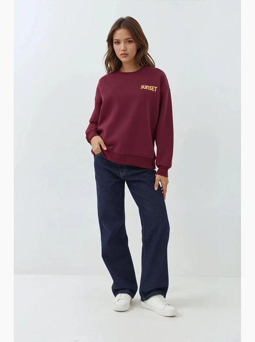 Sudadera bordada con cuello redondo hiccup - Kiabi