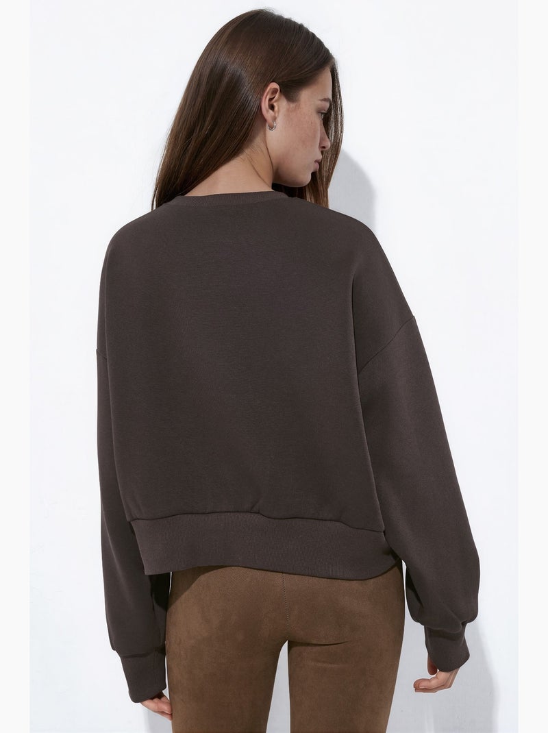 Sudadera bordada de corte holgado hiccup Marrón chocolate - Kiabi