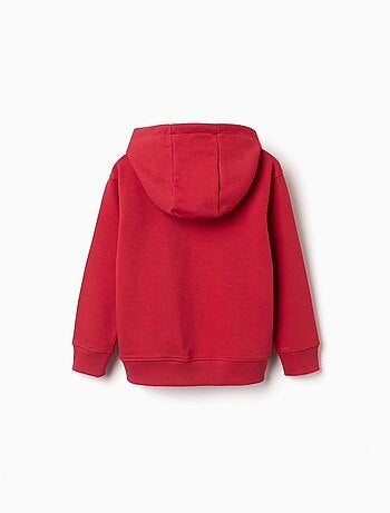 Sudadera con capucha con estampado en relieve ZY