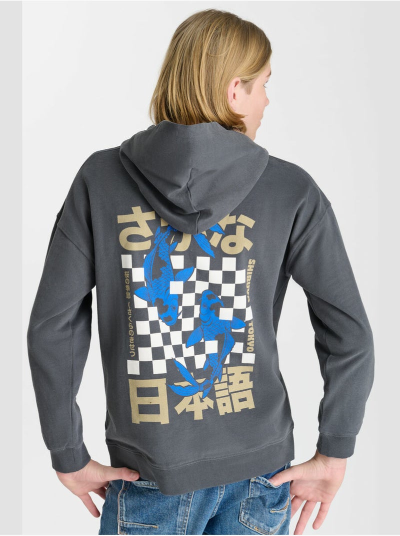 Sudadera con capucha istrebo Gris - Kiabi