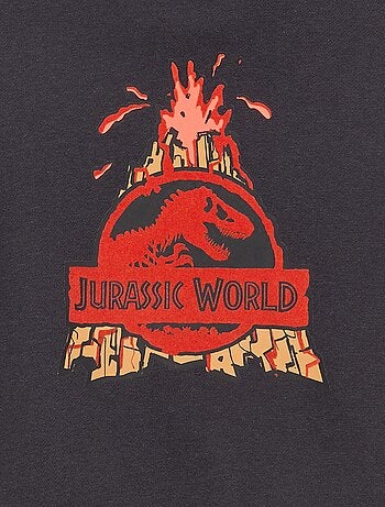 Sudadera con capucha 'Jurassic World'